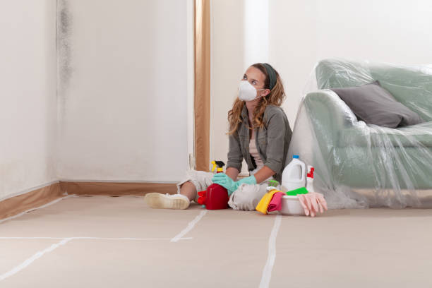 Reliable Basement Mold Remediation contractor in Fayetteville, NC by Mold Remediation HQ
